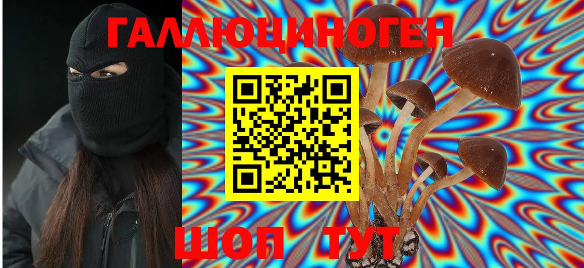 Галлюциногенные грибы GOLDEN TEACHER Муравленко