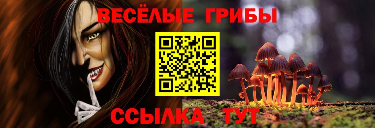 Псилоцибиновые грибы MAGIC MUSHROOMS  Псилоцибиновые грибы Psilocybe  Муравленко  даркнет сайт  Вход с VPN 